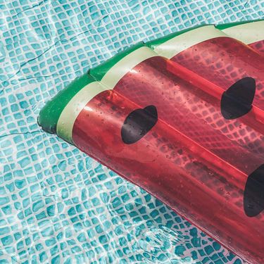 pexels vince 2233366