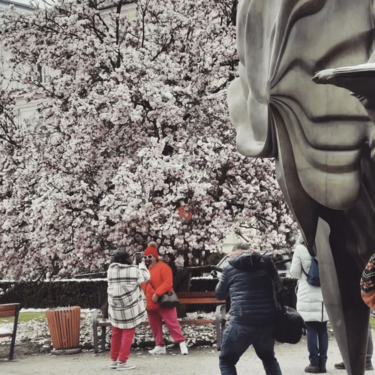 Screenshot 2026 03 09 131403