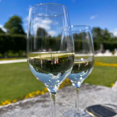 Two wine glasses on a sunny day